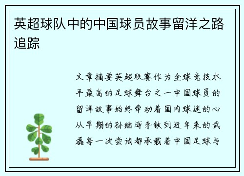 英超球队中的中国球员故事留洋之路追踪