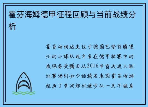 霍芬海姆德甲征程回顾与当前战绩分析